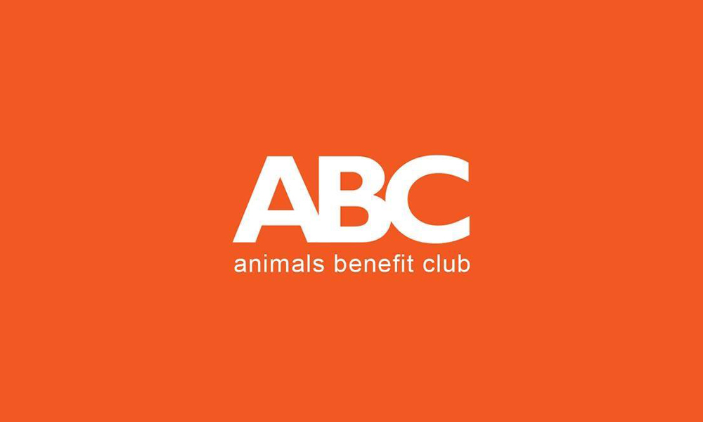ABC Animal Rescue