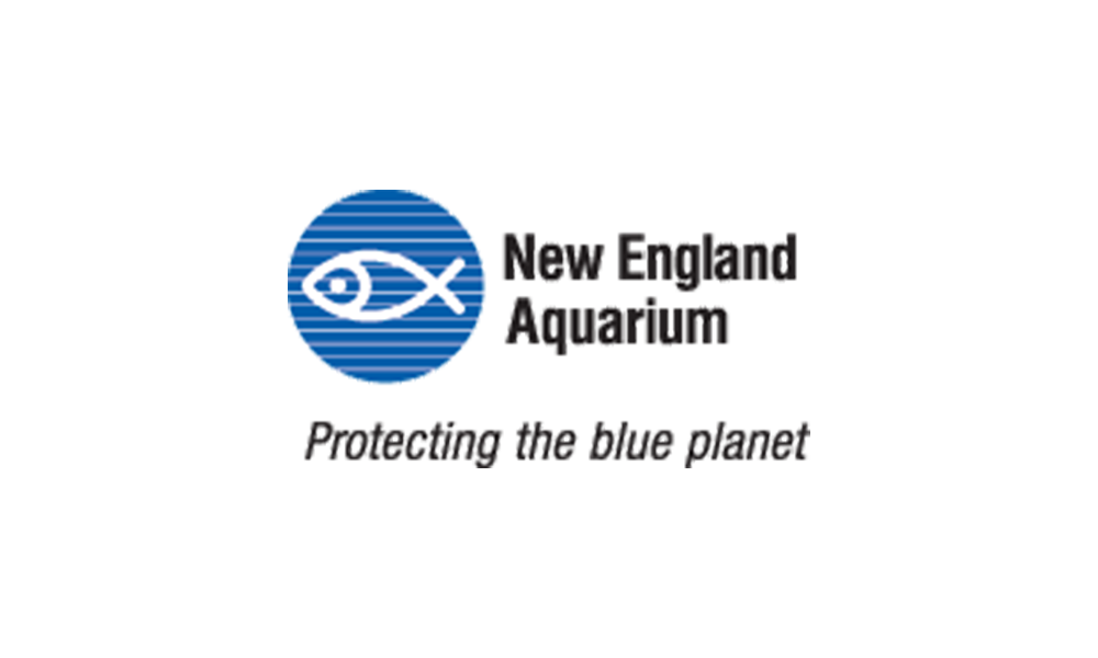 New England Aquarium