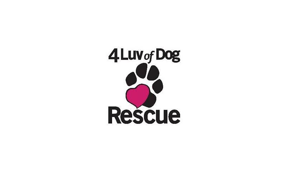 4 Luv of Dog Rescue