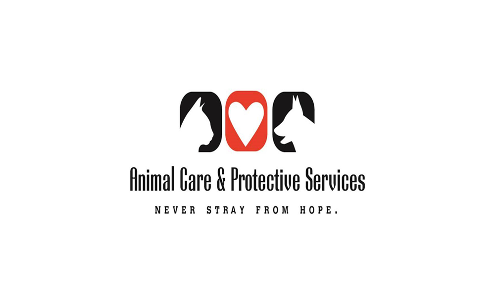 Jacksonville Animal Care & Protective Services