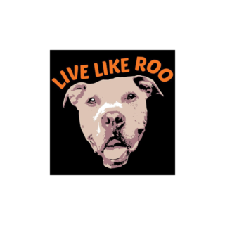 Live Like Roo Foundation