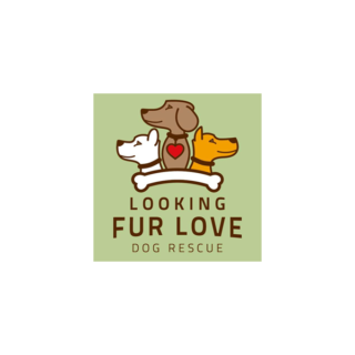 Looking Fur Love Dog Rescue