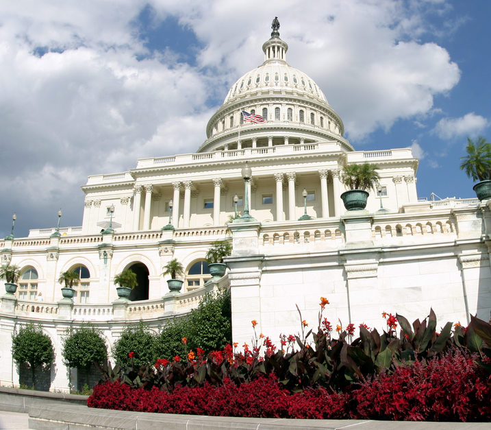 Five Volunteer Opportunities for Teens in Washington, D.C. this Summer ...