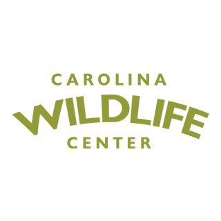 Carolina Wildlife Center